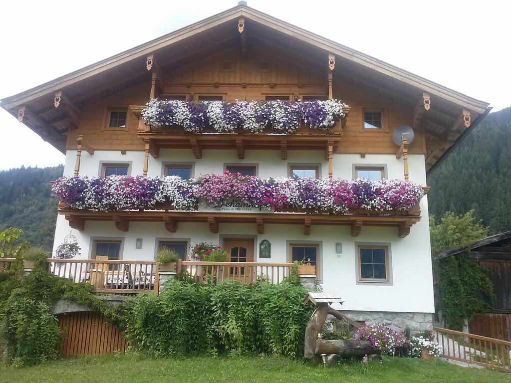 Ferienwohnungen Behamhof Нойкірхен-ам-Гросфенедігер Екстер'єр фото